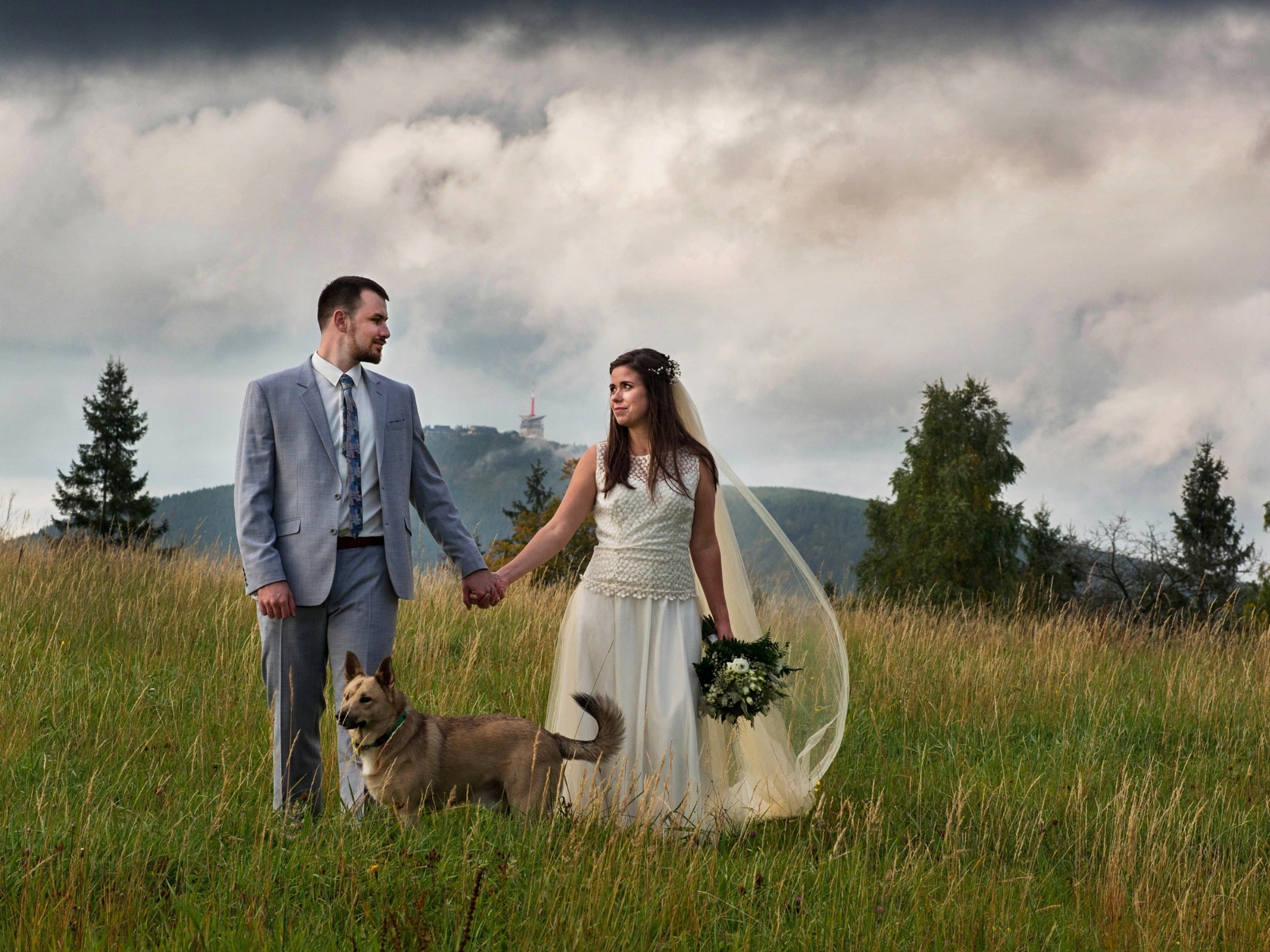 Nevěsta a ženich na louce během svatebního focení v Ostravě